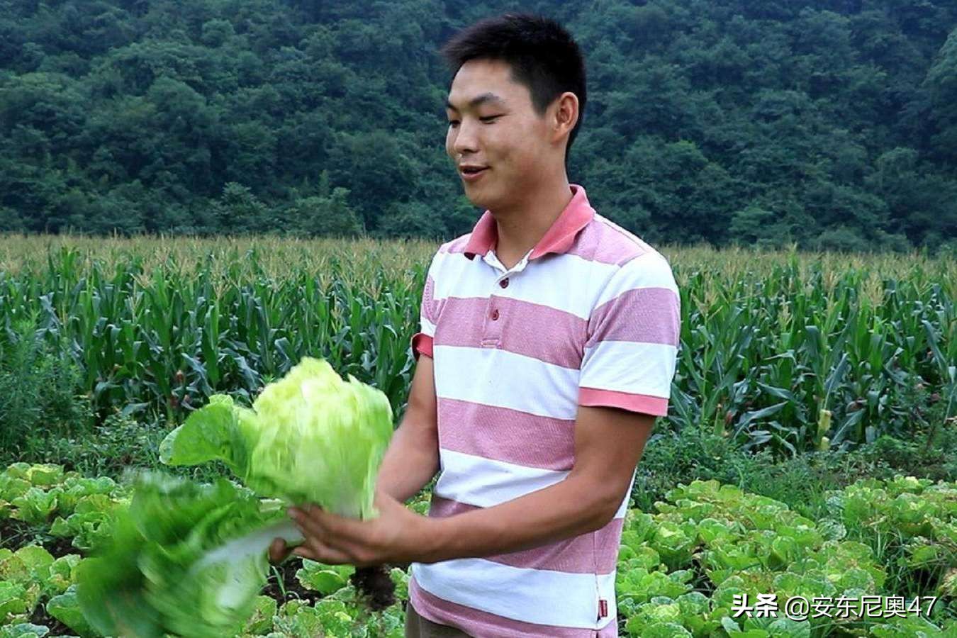 城里待不下去，回农村没事做？要不试试这几个小生意吧