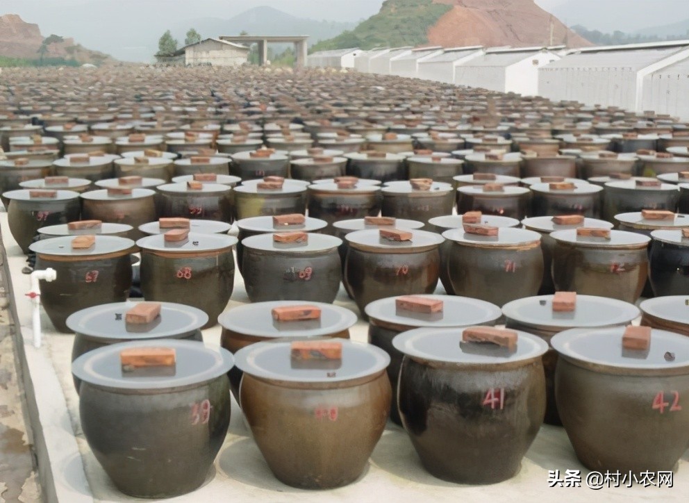 农村创业干啥最赚钱？这12个农村致富好项目，你值得一试