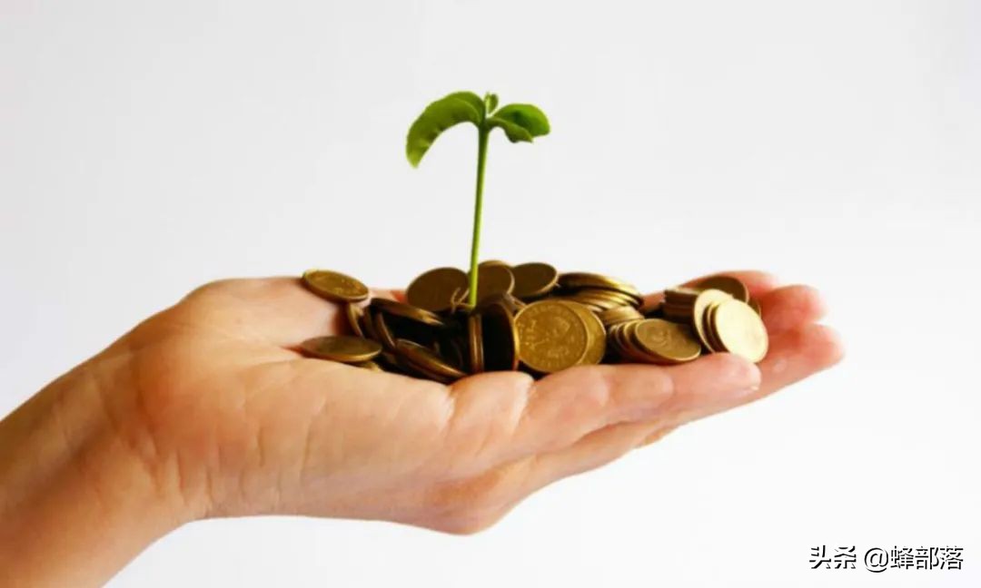 农闲时,这4个项目,投资不大,市场广阔,赚钱养家应该没有问题