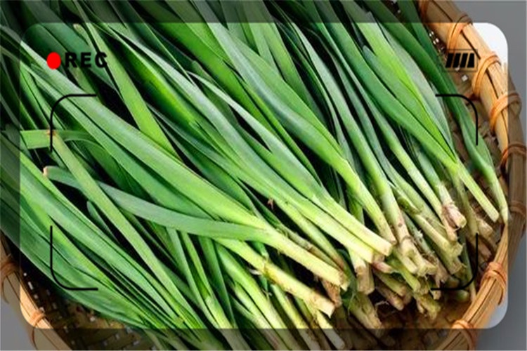 月纯利润2—3万的小生意,目前市场上还有哪些?推荐一下