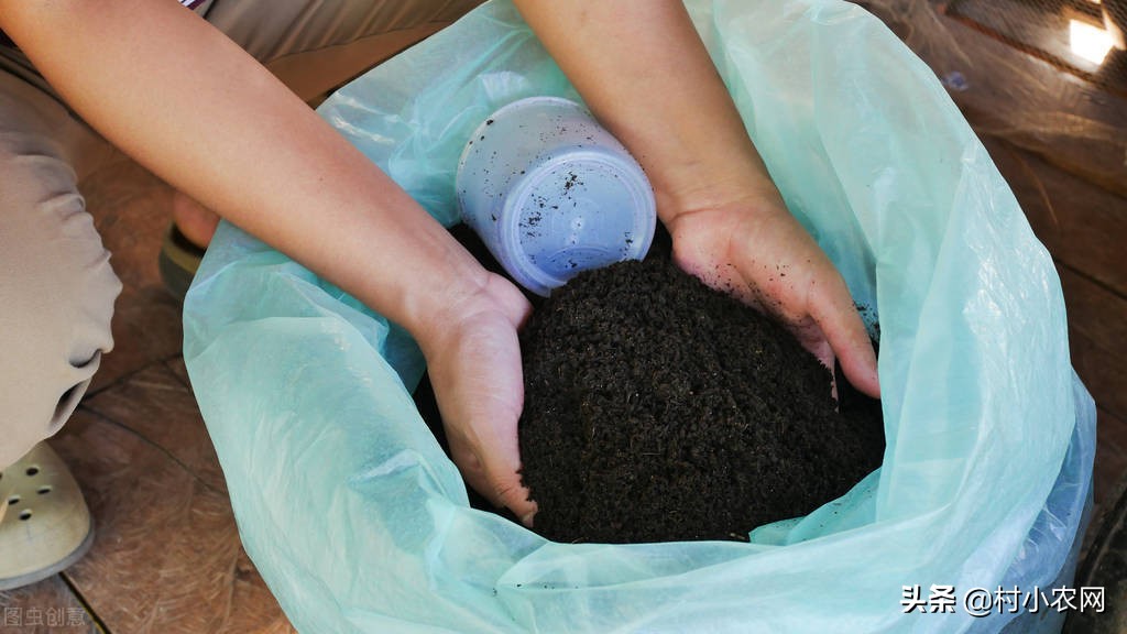 如今回农村创业,到底干啥最赚钱?这几个项目干好了不比打工差