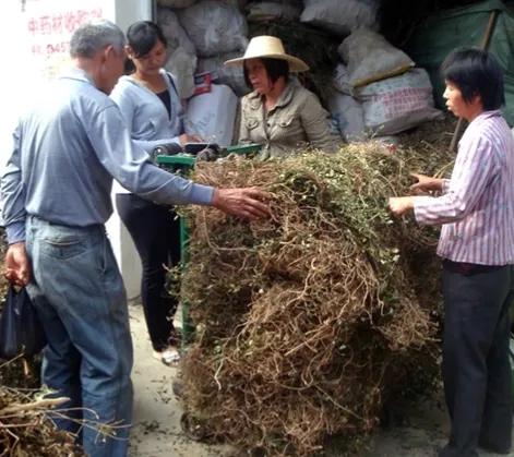 农村冷门项目也能赚大钱,不信来看,很真实有用