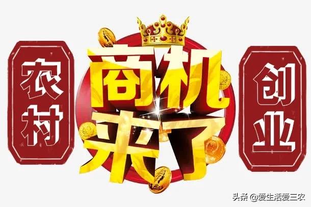 这四个农村稀缺行业，年收入几十万很正常，你在做吗？