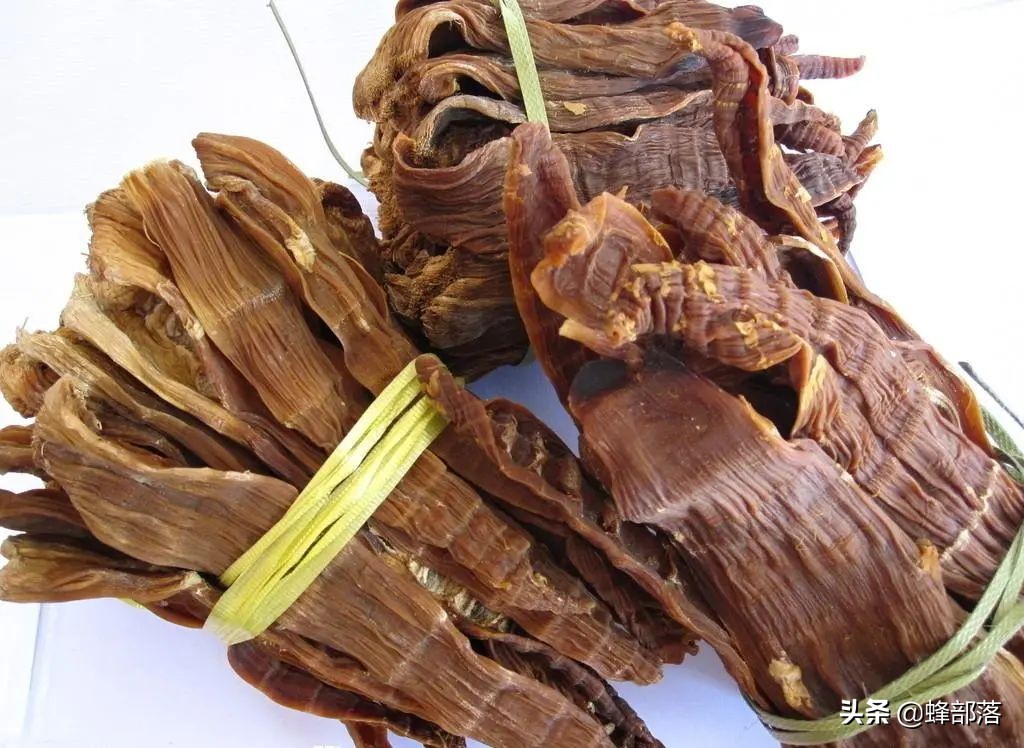 2021年农村创业，有哪些项目可以选择？这12个产品项目值得参考