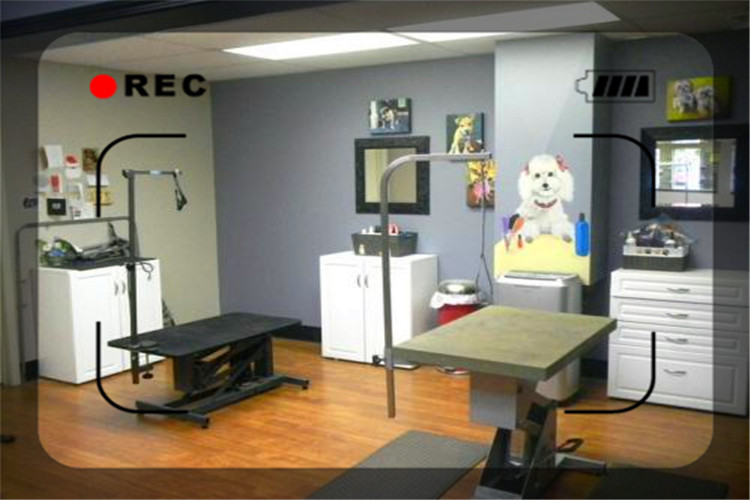 目前经济形势下，开什么样的实体店比较稳妥呢？推荐几个供参考