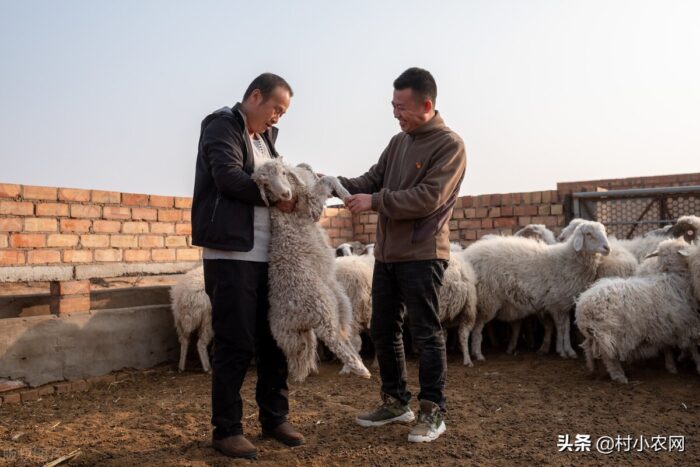 村里做什么生意好做？适合在农村做的12个项目-专在家创业网