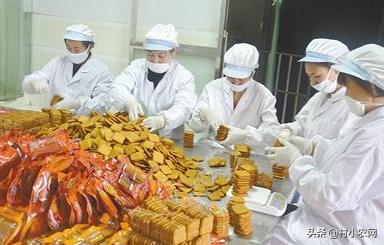 农村创业干啥最赚钱？这12个农村致富好项目，你值得一试