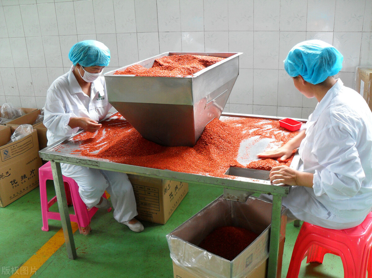 适合农村的六个小型加工厂项目,适合你的才是最好的