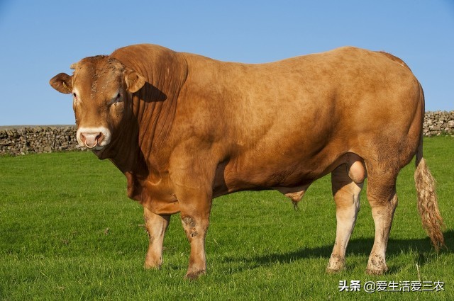 别再傻傻打工啦,这些小投入行业比打工强多了,值得一试