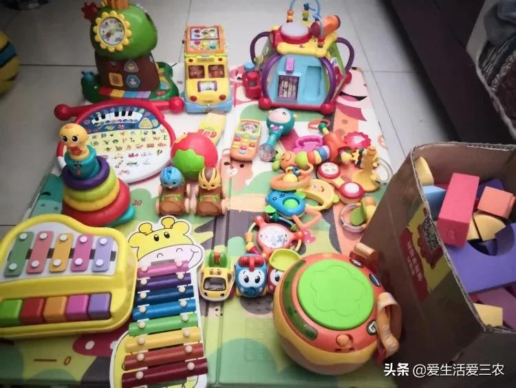 农业小项目,也能挣大钱,这些偏门小生意原来真的很挣钱!