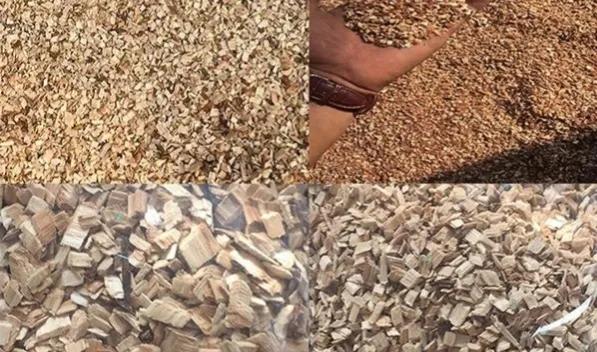 不怕辛苦,想快速赚钱的农村人看过来,这些项目值得一试