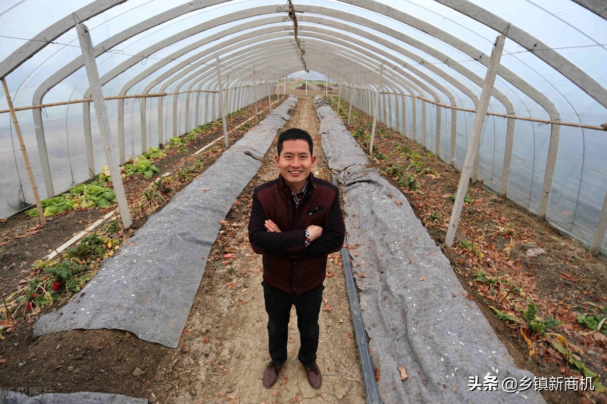 适合在农村创业的项目,不起眼的小项目但利润很高