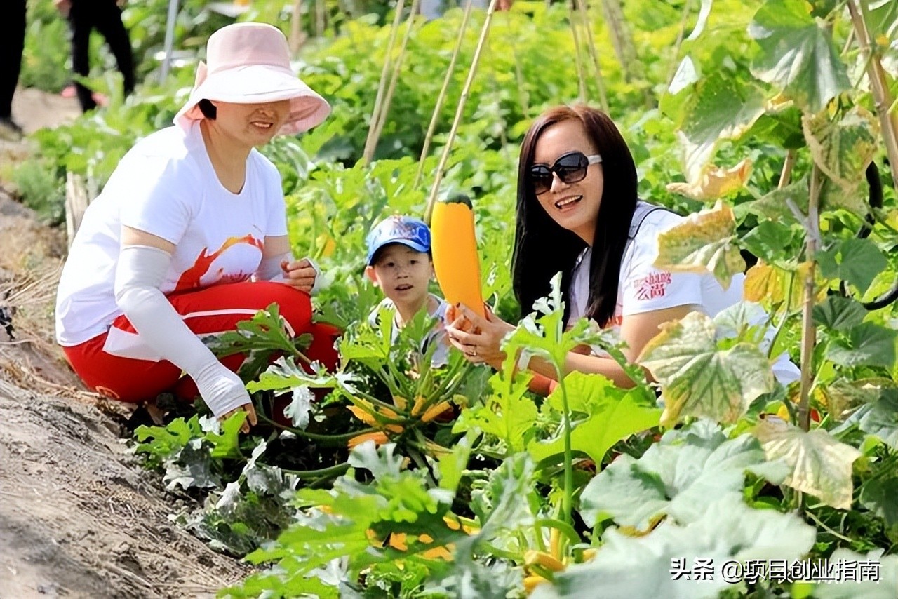冷门赚钱小生意,市场前景好,想要创业的建议看完这篇文章