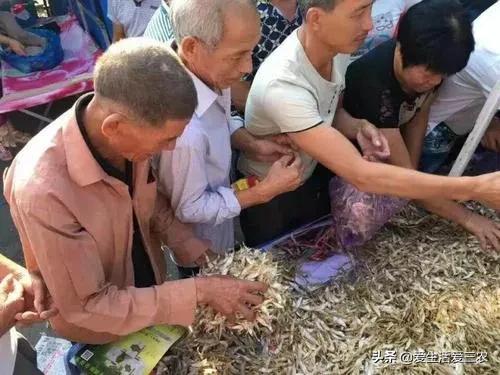 小生意赚大钱,你想不到的这些小生意,也能赚大钱