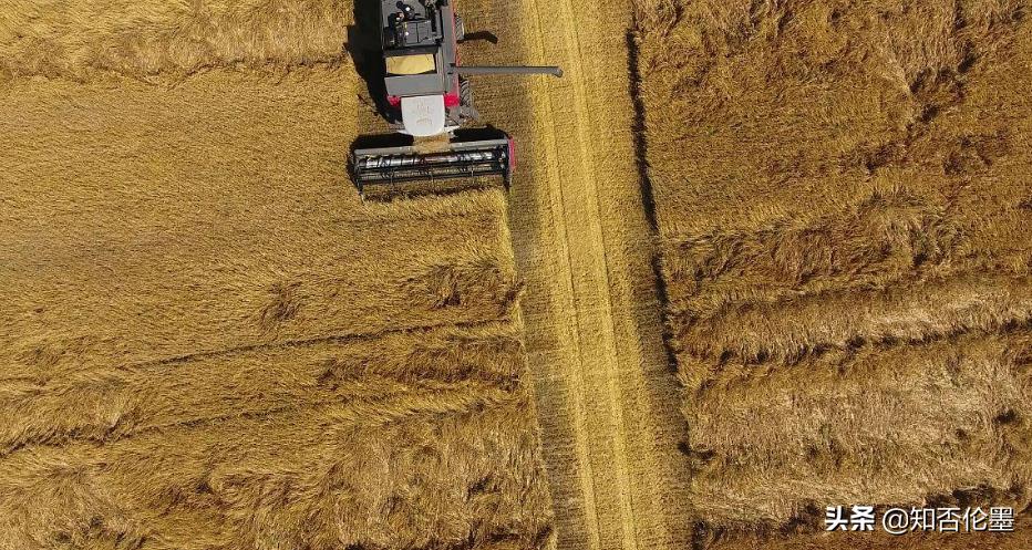 目前,在农村做什么有“钱”途?这几大致富门路,看看哪些适合你