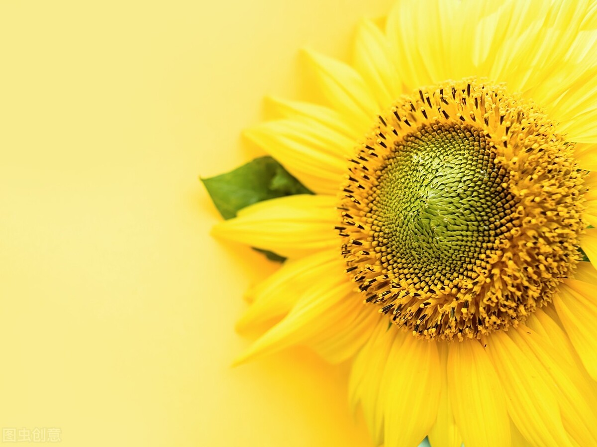 年入至少20万，最低成本仅需5万的小生意，最适合初次创业