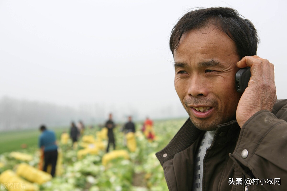 农村创业干啥能快速致富?隐藏在乡镇的45个项目,总有一个适合你
