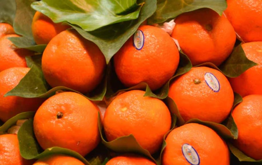 开水果店怎么控制风险,如何降低水果店的风险