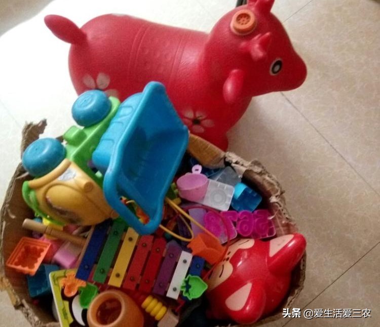 农业小项目,也能挣大钱,这些偏门小生意原来真的很挣钱!