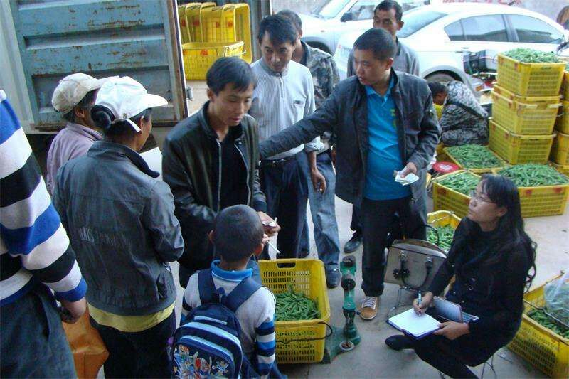 养殖亏损,种地赔钱,在农村能干啥?4种“小买卖”都比打工强