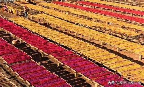 农业小项目,也能挣大钱,这些偏门小生意原来真的很挣钱!