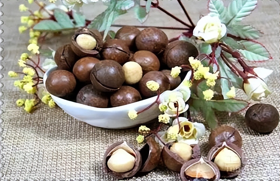 外出打工不赚钱,回农村种植7种经济作物,技术简单不少赚钱