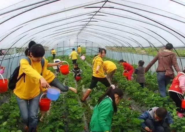 月入过万,而且一个人能做的项目有哪些?(1)