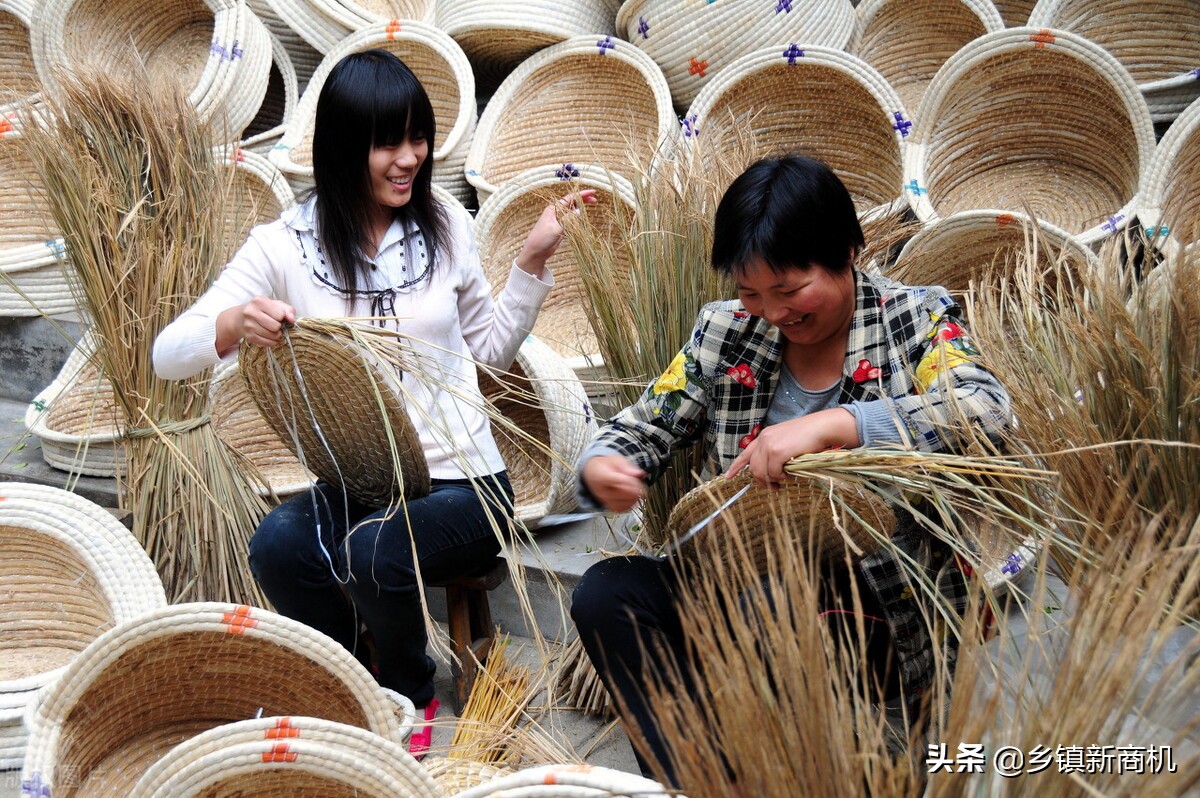 当下适合农村的8个致富好项目,返乡创业新出路