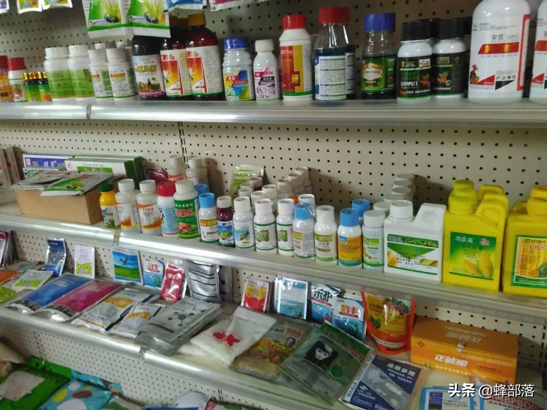 2021农村未来10大项目，蕴含万亿发展商机，抓住一项就有大发展