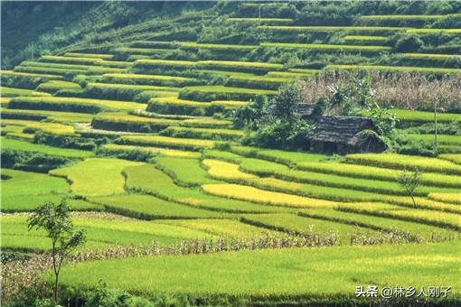 农民创业项目有哪些?推荐这4个赚钱项目