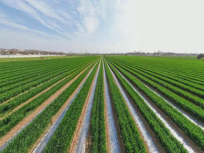 十个农村赚钱好门路,总有一个适合你