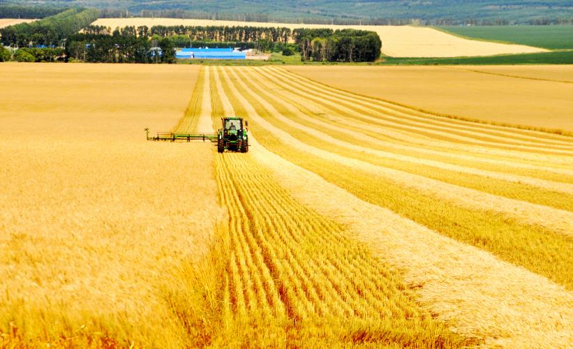 未来5~10年，农村哪些生意“钱”景突出？3个行业潜力大