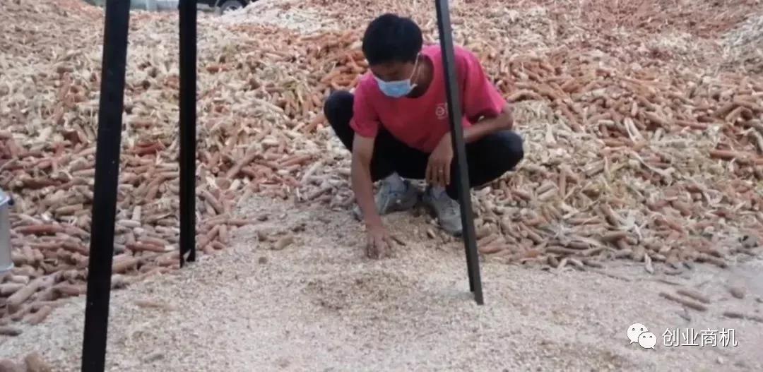 这些不起眼的小本生意，做好了一年也能赚几十万