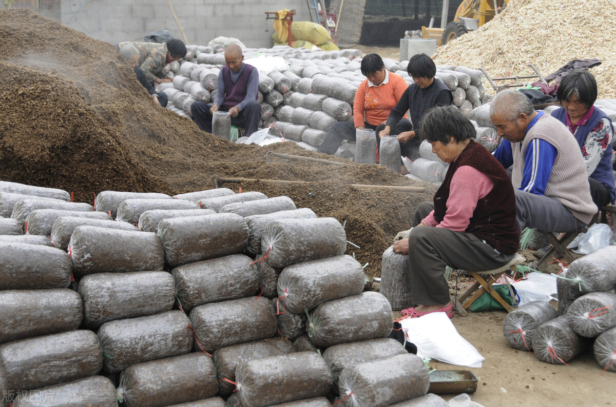 乡村振兴战略背景下，适合返乡创业青年的农业项目都有哪些？