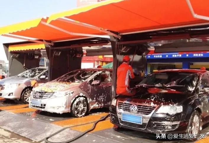 农业小项目,也能挣大钱,这些偏门小生意原来真的很挣钱!