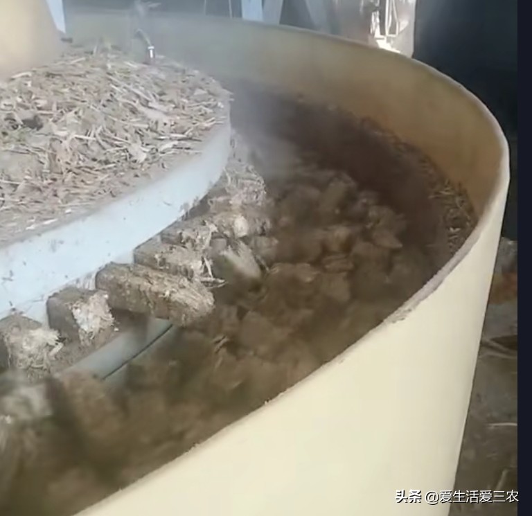 农业小项目,也能挣大钱,这些偏门小生意原来真的很挣钱!