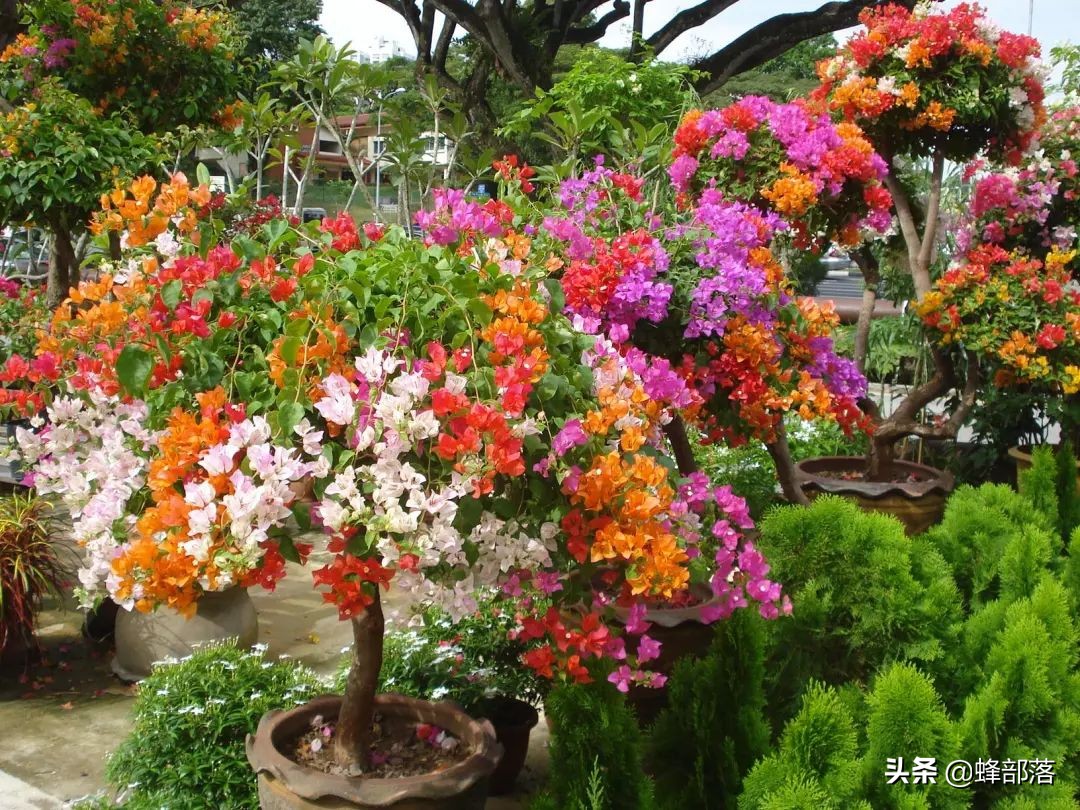 在农村，投资哪些项目可以赚钱？这9个项目，或许正是你想要的