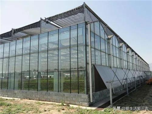 想在农村创业有怕赔钱?来做这几个很稳妥的项目吧,建议收藏