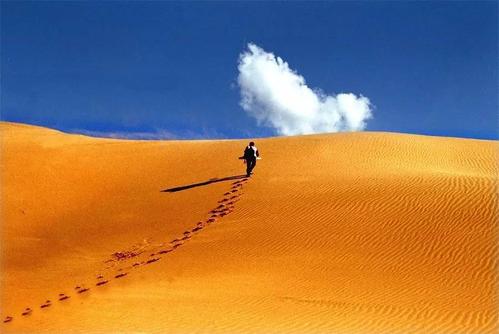 农村创业难赚钱吗?试试这五个项目吧,赚钱真不难