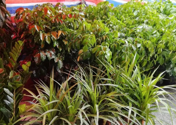 适合女人创业的项目有哪些呢？这三个小本创业项目适合妇女！ -2