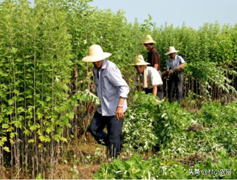 投资小赚钱快的12个创业项目  小型致富创业好项目-赚在家创业号