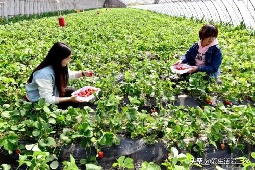 2022年创业小项目有哪些？ -1