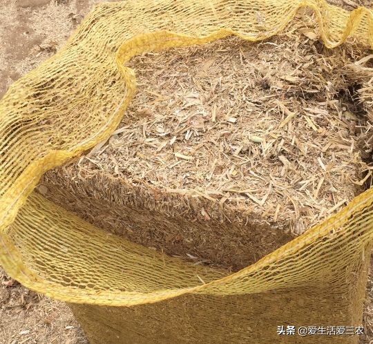 2022年创业小项目有哪些？ -12