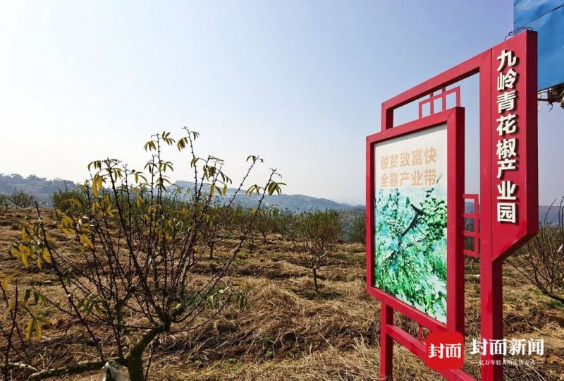 农学博士李洪权返乡创业“不走寻常路”-5 农学博士李洪权返乡创业“不走寻常路”-5
