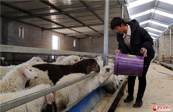 辗转十年回乡 沐浴政策春风创业致富-4 辗转十年回乡 沐浴政策春风创业致富-4