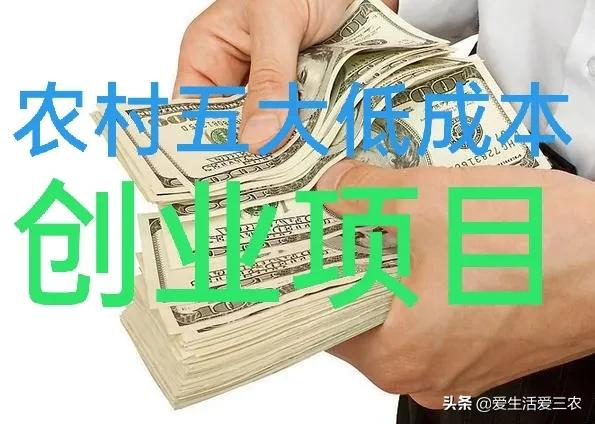 穷人没本钱怎么创业?适合一个穷人致富的投资项目-赚在家创业号