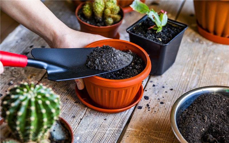 未来有潜力的创业项目有哪些?年轻人创业项目推荐 -1 未来有潜力的创业项目有哪些?年轻人创业项目推荐 -1