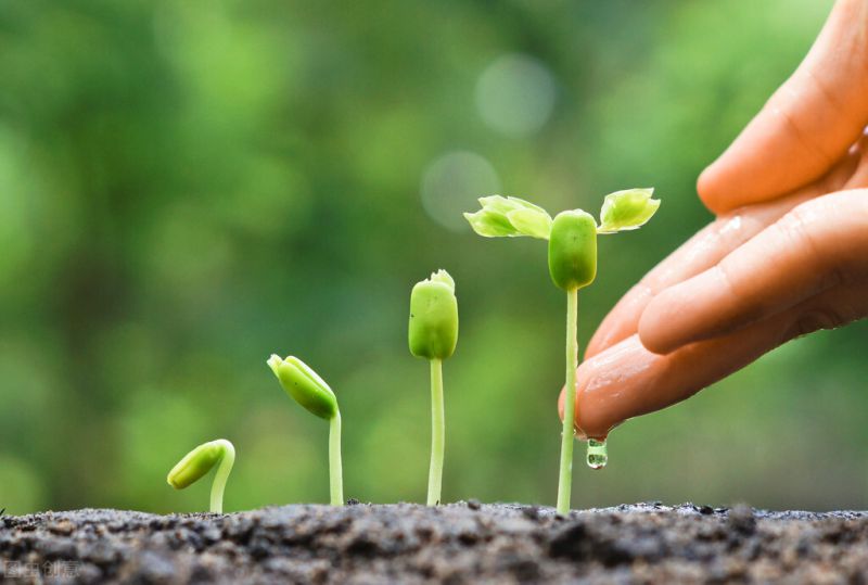 50个适合县城做的代理 -11