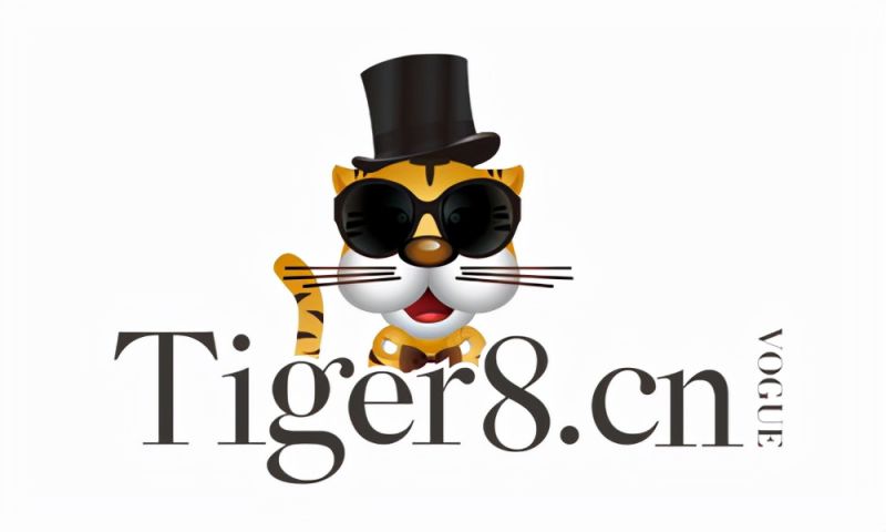 十大抖音代运营公司有哪些？国内最好的抖音运营团队分享 -2