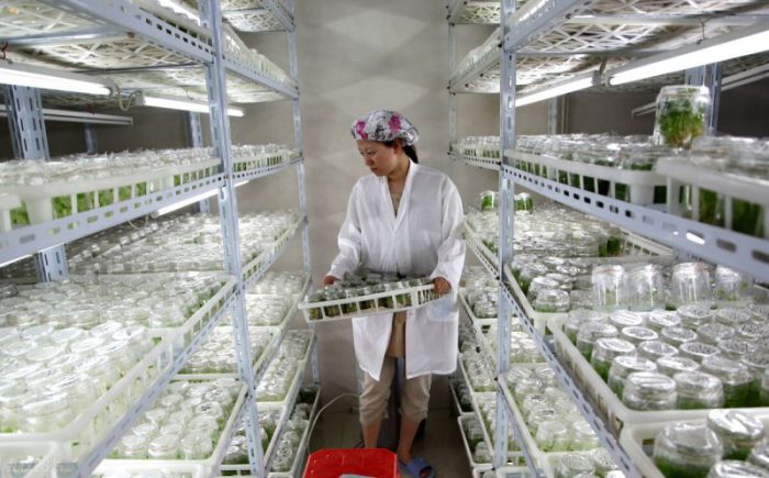 6个不愁销路的小型加工厂  精选2022年必火的创业项目-赚在家创业号